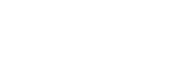 Spark Neuro